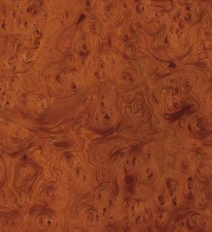Burr Veneer 2